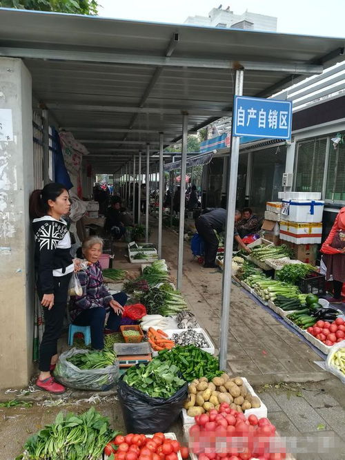自產(chǎn)自銷區(qū) 為進城農(nóng)民鋪就安心銷售路