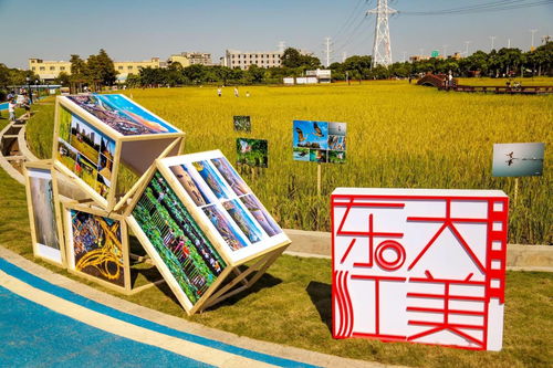 文藝矩陣賦能東莞 以原創力提升品質文化之都