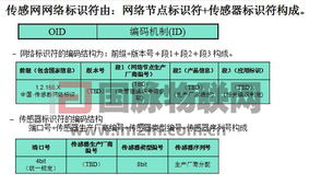 探尋物聯(lián)網(wǎng)的中國道路——2010國際物聯(lián)網(wǎng)峰會回顧與展望